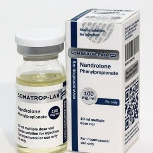 Buy Nandrolone Decanoate 250mg 10ml Hilma (Somatrop Lab)